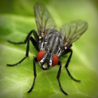 /album/harlusthora/photolia-a01-jpg/