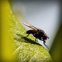 /album/harlusthora/photolia-a04-jpg/