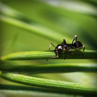 /album/harlusthora/photolia-a05-jpg/