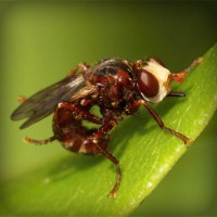 /album/harlusthora/photolia-a06-jpg/