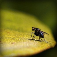 /album/harlusthora/photolia-a07-jpg/